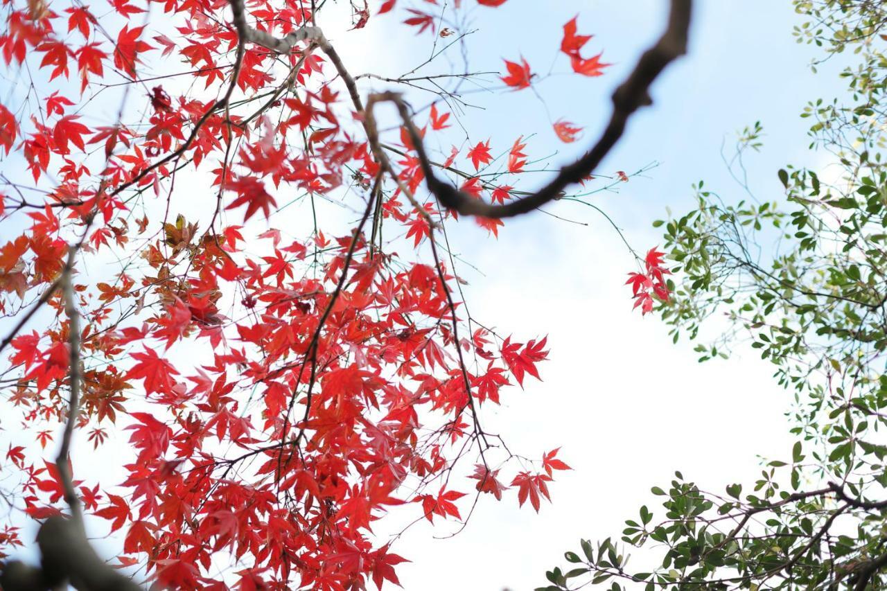 Ryokan Tanoya Kjóto Exteriér fotografie
